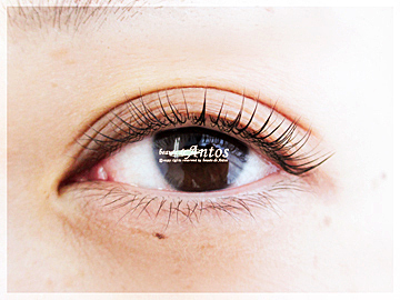 まつげカール まつげの生え方とまぶたの形状でカール感を決めます アントス 埼玉県 大宮 のまつげエクステ まつげパーマ 眉毛専門店 高品質 心のこもったおもてなしと快適な空間でくつろげるサロン