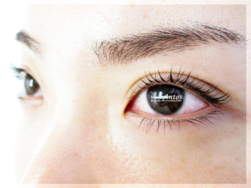 まつげカール 立ち上げ型 と ラウンド型 デザインに迷ったら アントス 埼玉県 大宮 のまつげエクステ まつげパーマ 眉毛専門店 高品質 心のこもったおもてなしと快適な空間でくつろげるサロン